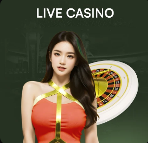 图赫尔：贝林厄姆不会出战日本，我们不会在他身上冒险